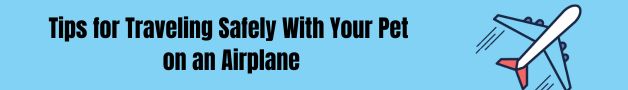 Tips for Traveling Safely With Your Pet on a Plane