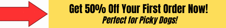 dog food for picky dogs