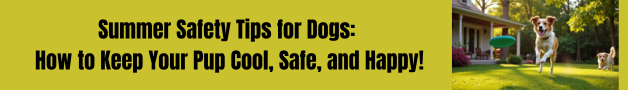 Summer Safety Tips for Dogs: Keep Them Cool, Safe, and Happy