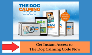 Manage and Stop Dog Aggression - Effective, Easy-to-Follow Training
