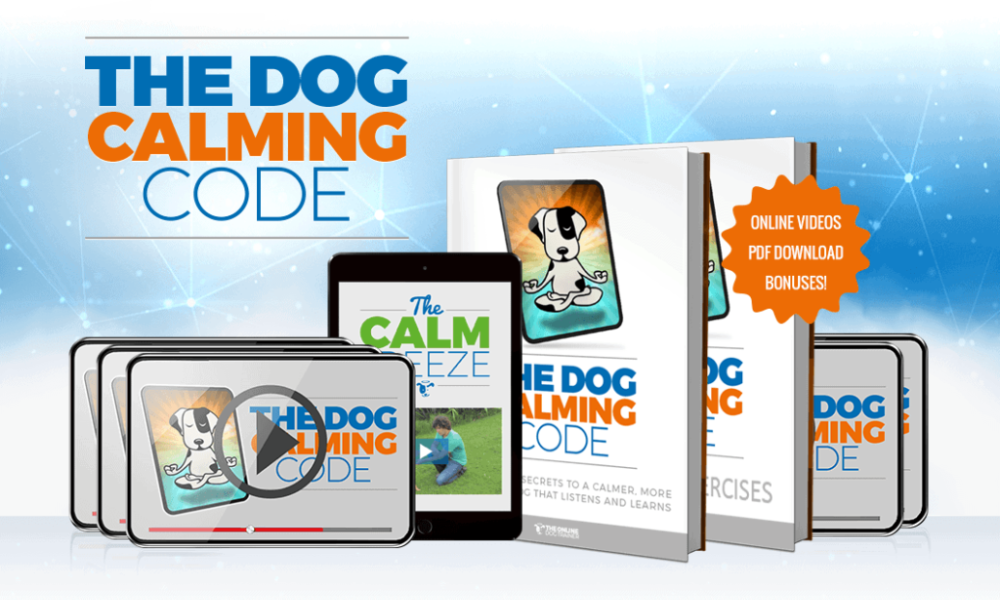 why your dog won't listen