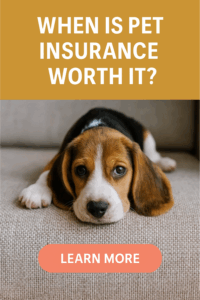 when is pet insurance worth it?