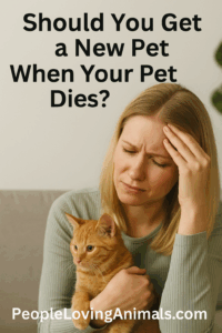 Quando você deve conseguir outro animal de estimação quando seu animal de estimação morrer