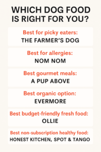 Which Dog Food is Right for You?