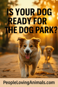 dog park etiquette