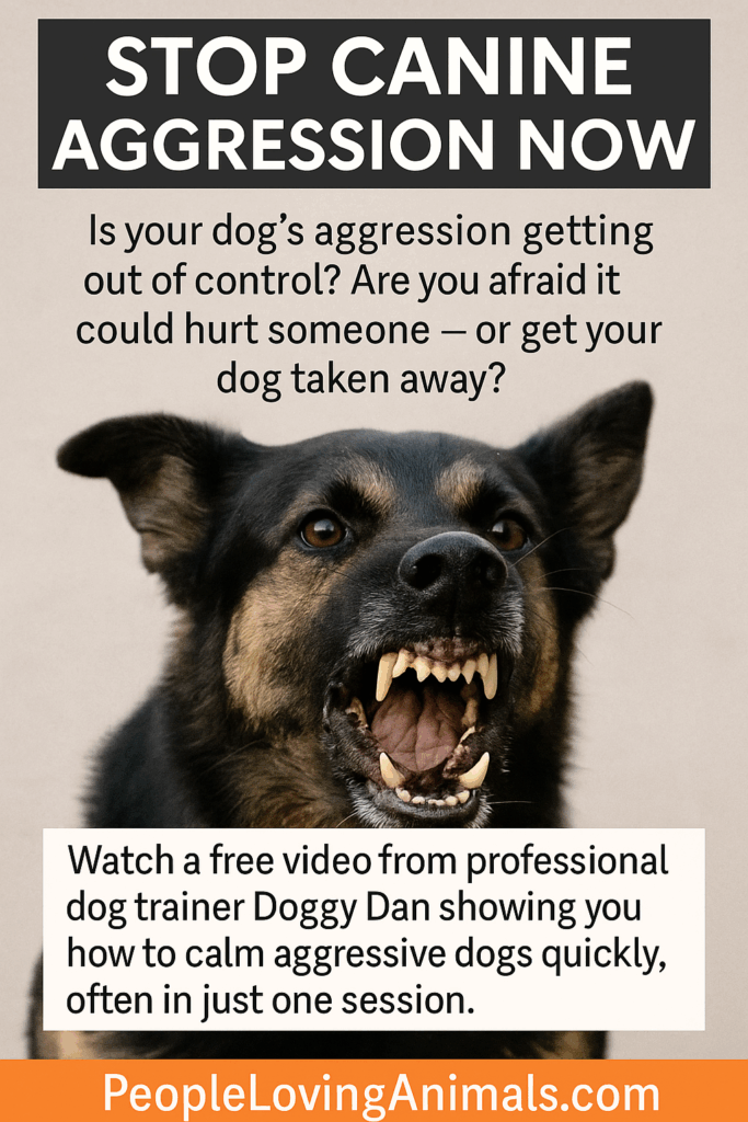 stop canine aggression fast