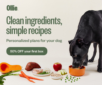 ollie dog food