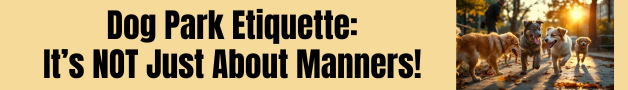 dog park etiquette