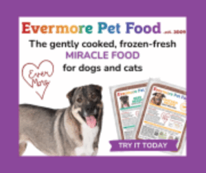 evermore dog food