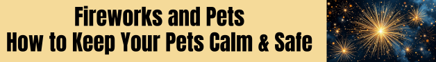 fireworks and pets