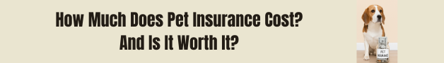 how much does pet insurance cost?
