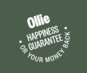 ollie dog food