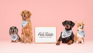the pets table fresh dog food