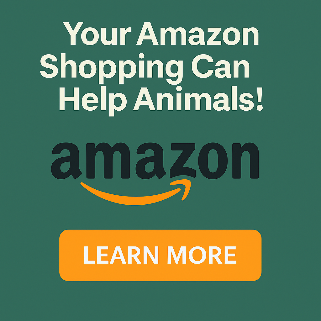 amazon pet supplies
