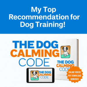 how to train my dog not to beg