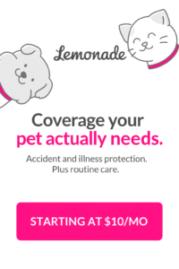 lemonade pet insurance reviews