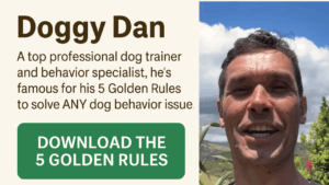 doggy dan's 5 golden rules