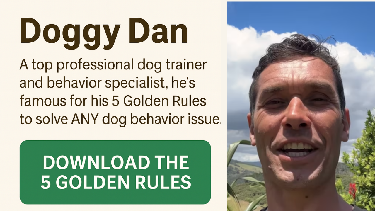 doggy dan's 5 golden rules