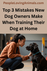 top 3 dog training mistakes