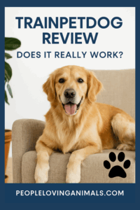 Should You Try TrainPetDog?