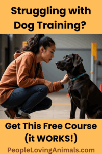 Struggling with Dog Training? Get a Free Course That Actually Works