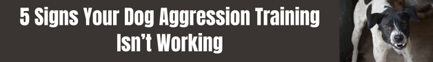 5 signs your dog aggression training isn't working