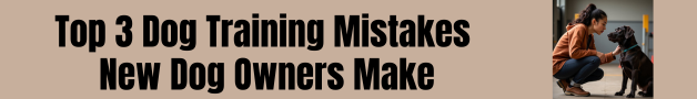 top 3 dog training mistakes new dog owners make