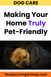 Making Your Home Truly Pet-Friendly