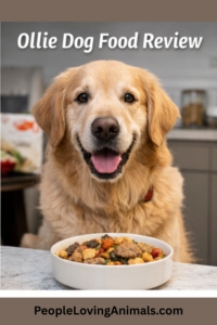 ollie dog food review
