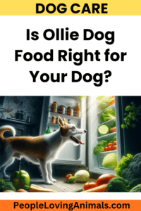 ollie dog food review
