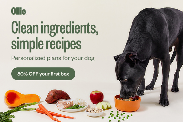 ollie dog food review
