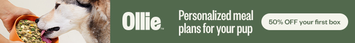 ollie dog food 50% off
