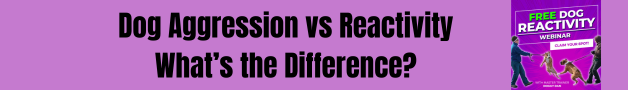 dog aggression vs reactivity