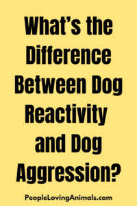 dog reactivity vs dog aggression