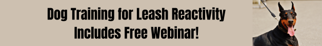 Dog Training for Leash Reactivity