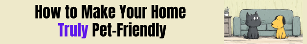 How to Make Your Home Pet-Friendly