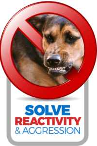 stop dog reactivity