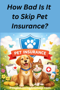 how bad is it to skip pet insurance?