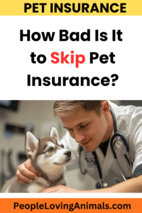 How Bad Is It to Skip Pet Insurance?