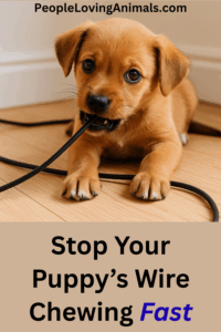 how to stop puppy chewing wires