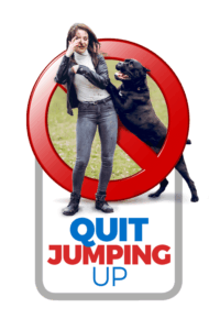dog training for jumping