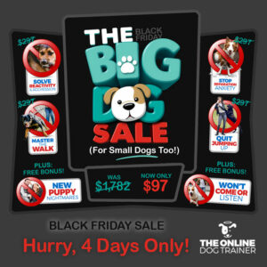 doggy dan black friday sale