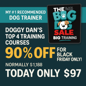 doggy dan black friday sale