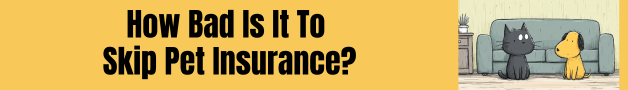 how bad is it to skip pet insurance?