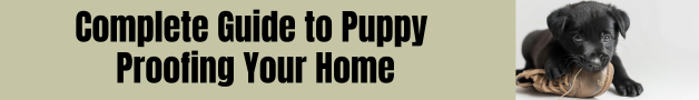 Puppy Proofing Your Home