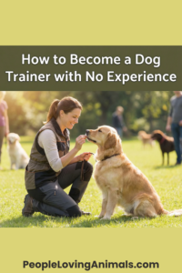 How to Become a Dog Trainer with No Experience