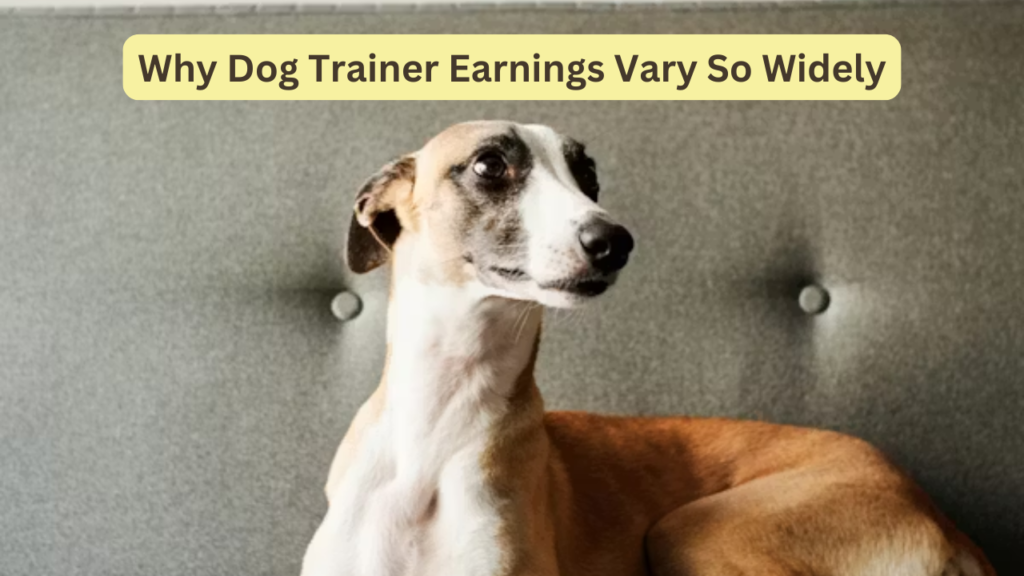 Por que os ganhos dos treinadores de cães variam tanto