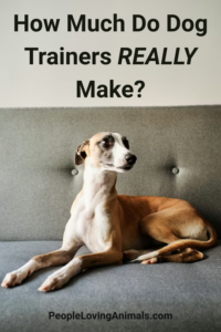 quanto ganham os treinadores de cães?