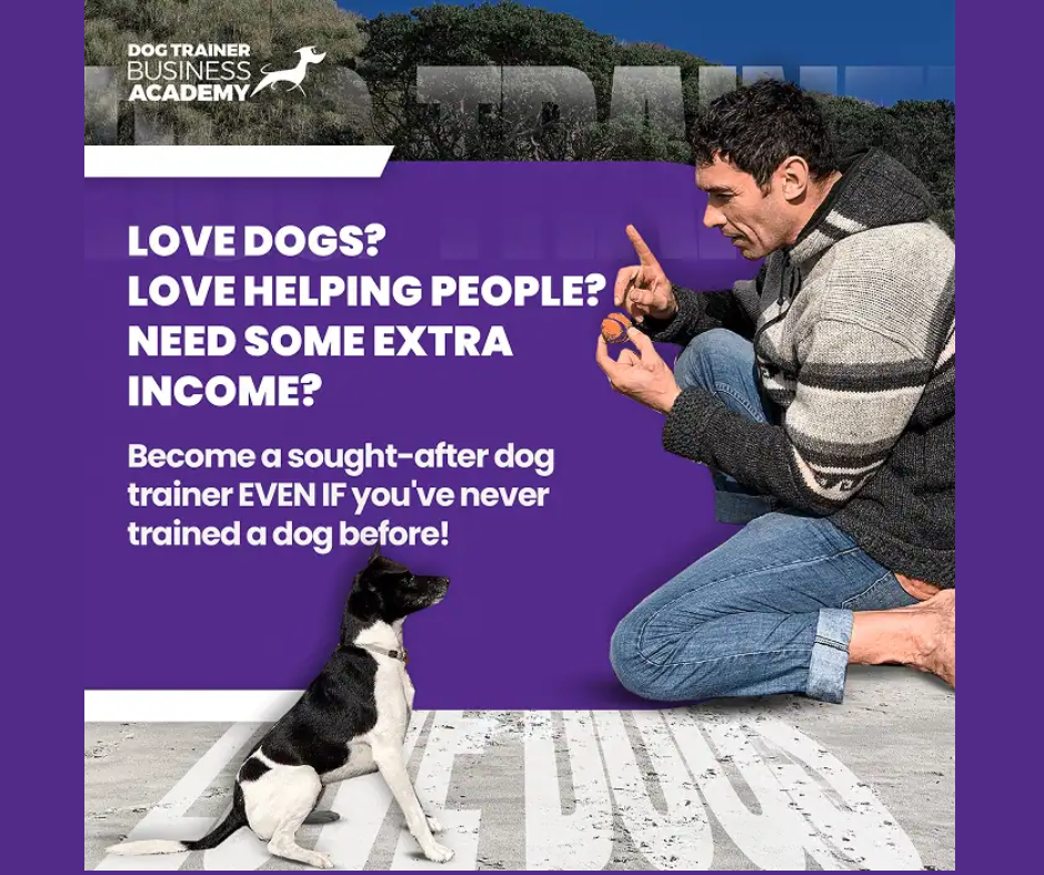 dog training certification program