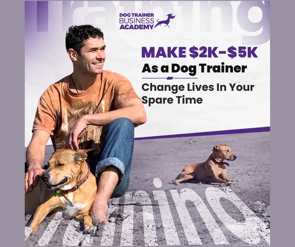 doggy dan dog trainer academy